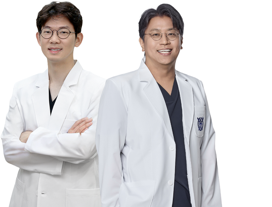 대한민국의 외상성형의 정점
